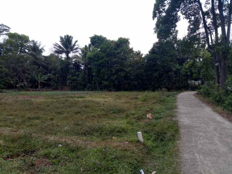 tanah luas samping jalan besar di cilaku tenjo bogor