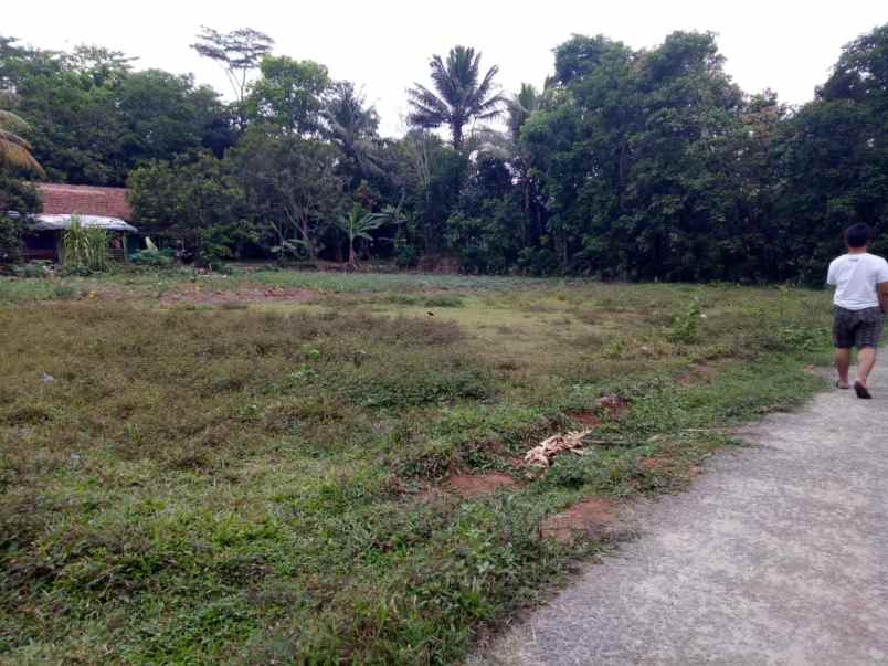 tanah luas samping jalan besar di cilaku tenjo bogor