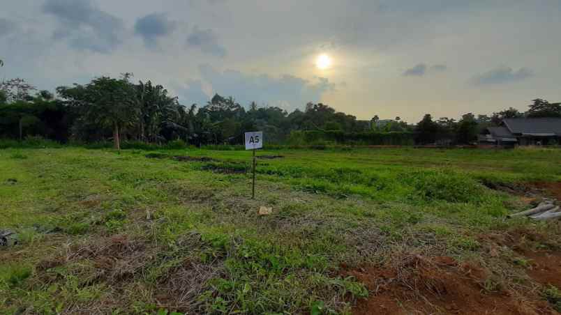 tanah megamendung puncak bogor