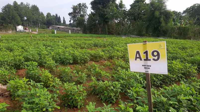 tanah megamendung puncak bogor