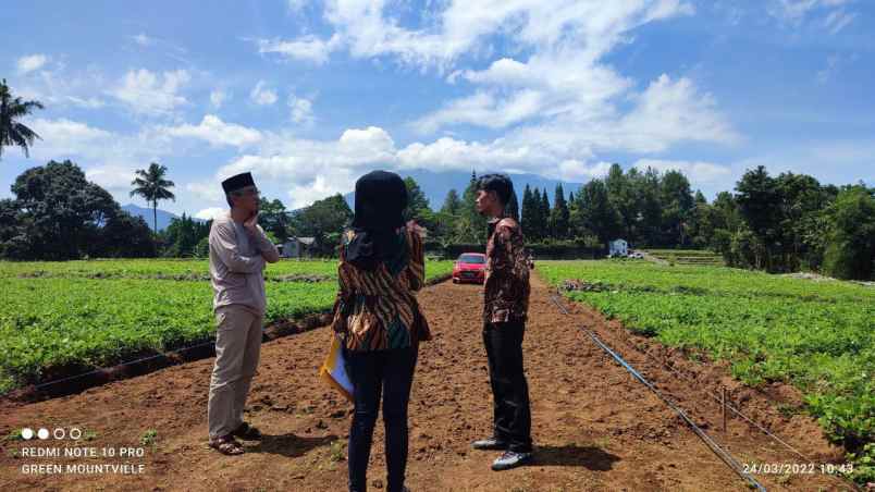 tanah megamendung puncak bogor