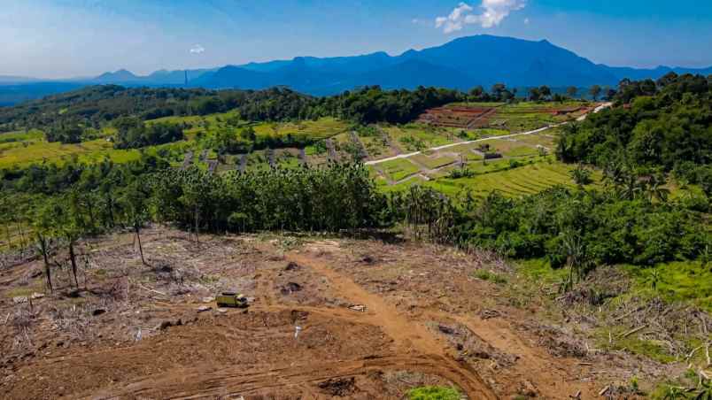 tanah murah di bogor free shm bonus 10 pohon anggur