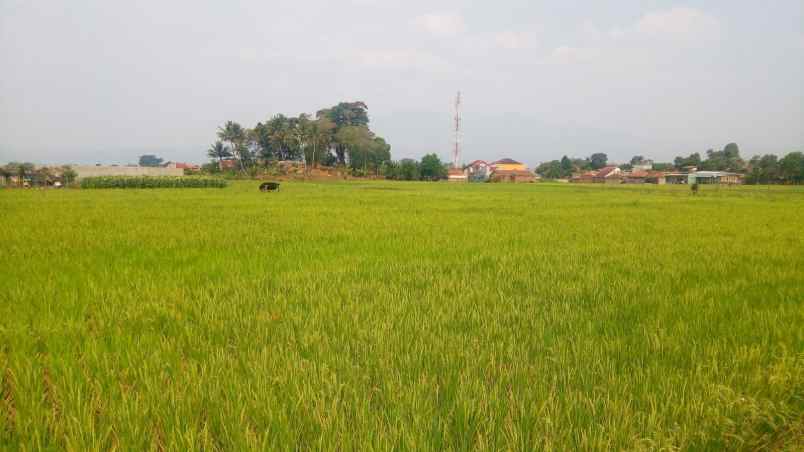 tanah murah jl al fathu pamekaran soreang kab bandung