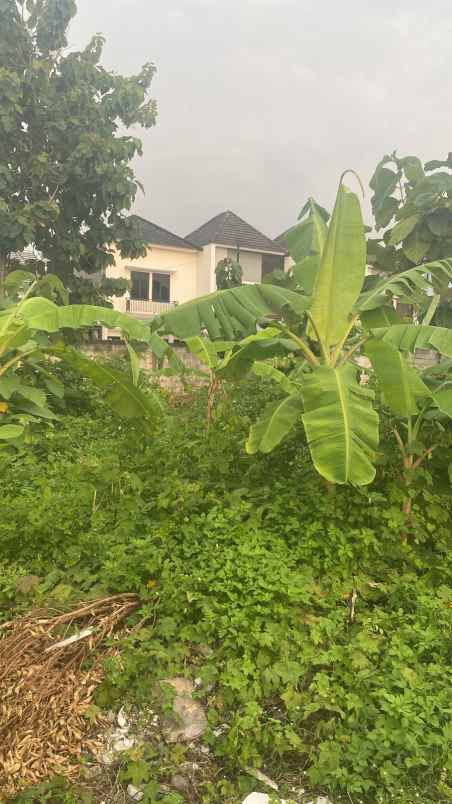 tanah murah lokasi di sambiroto cocok untuk hunian