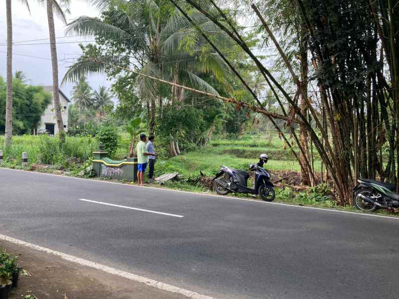 tanah murah mangku aspal barat uii sleman