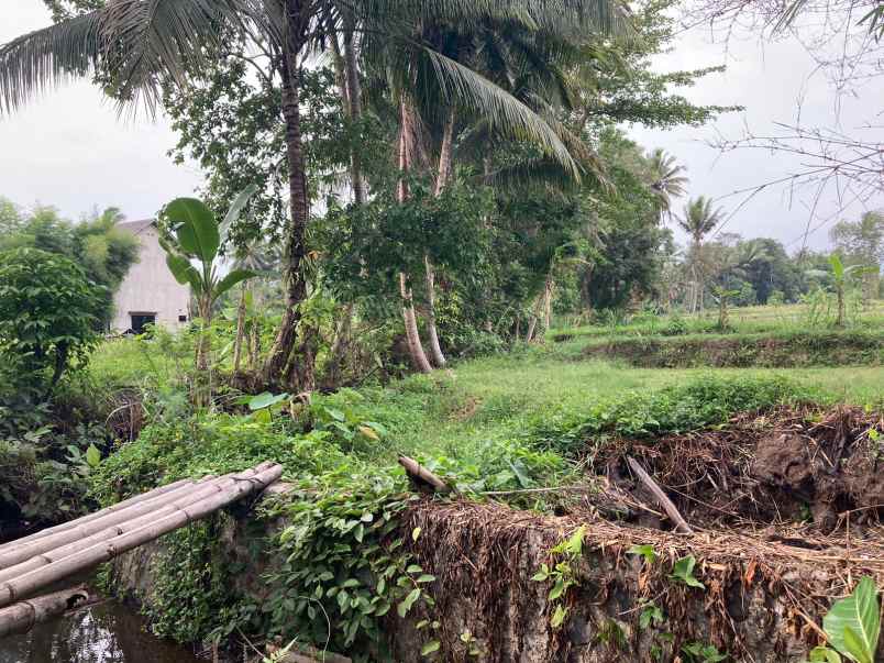 tanah murah mangku aspal barat uii sleman