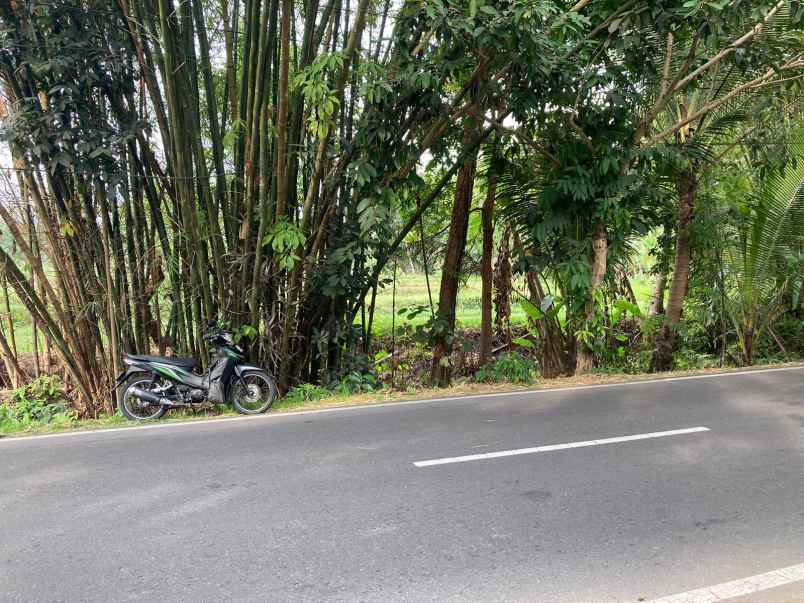 tanah murah mangku aspal barat uii sleman