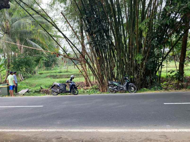 tanah murah mangku aspal barat uii sleman