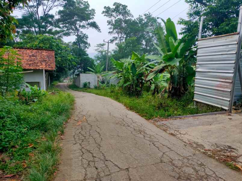 tanah murah shm jonggol cileungsi bogor