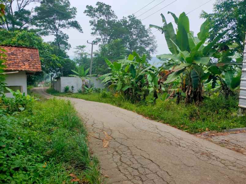 tanah murah shm jonggol cileungsi bogor