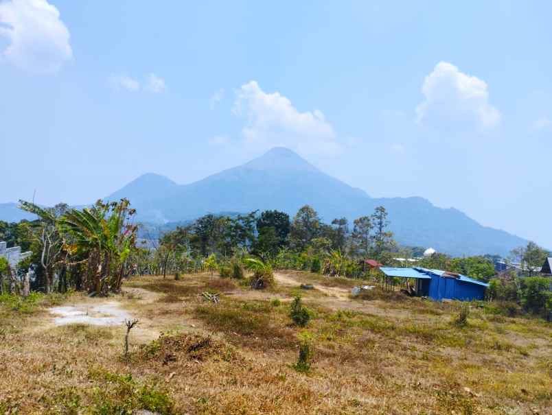 tanah pekarangan trawas depan caf suwon camp