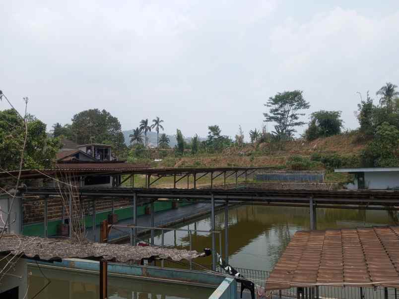 tanah plus kolam ikan plus rumah plus kebun