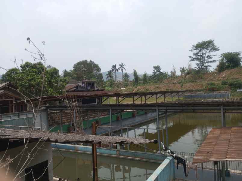 tanah plus kolam ikan plus rumah plus kebun