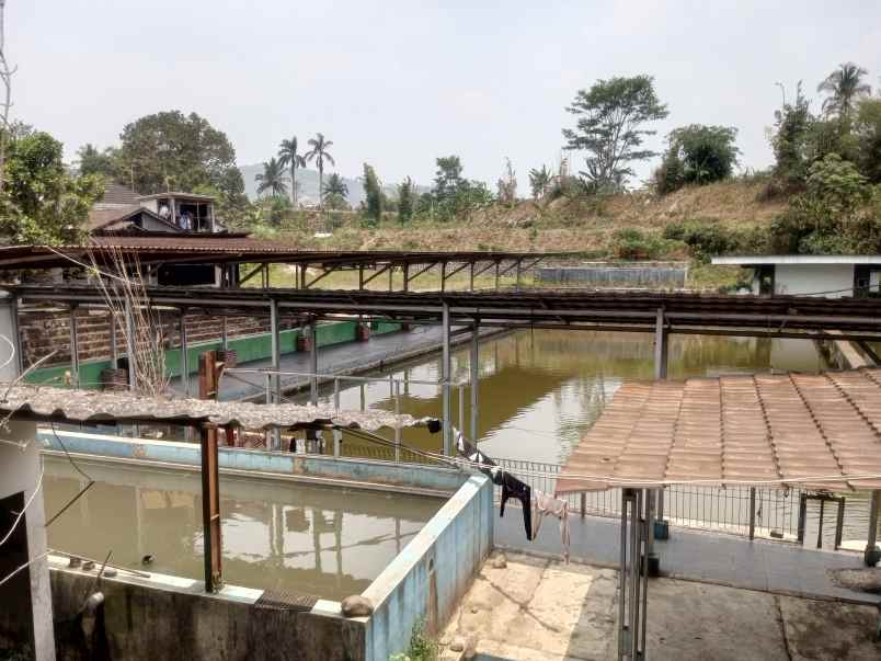 tanah plus kolam ikan plus rumah plus kebun