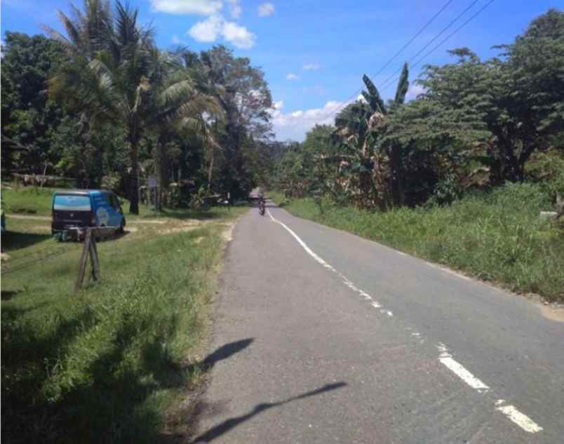 tanah sangat luas murah di aimas kabupaten sorong