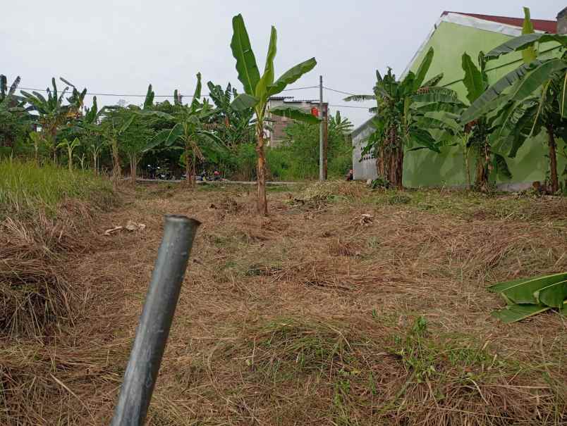 tanah shm ready di sendangmulyo tembalang semarang