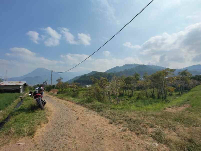 tanah subur murah view pegunungan kota wisata batu