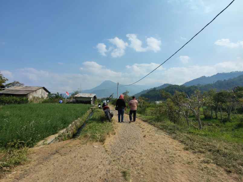 tanah subur murah view pegunungan kota wisata batu