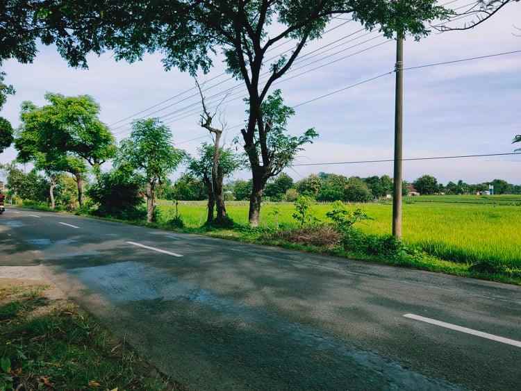 tanah tepi jl raya batujamus