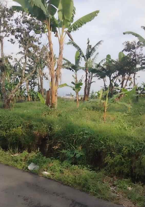 tanah view bagus pinggir jl di palutungan kuningan