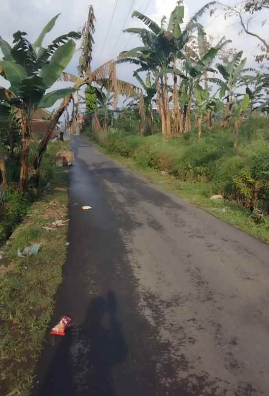 tanah view bagus pinggir jl di palutungan kuningan