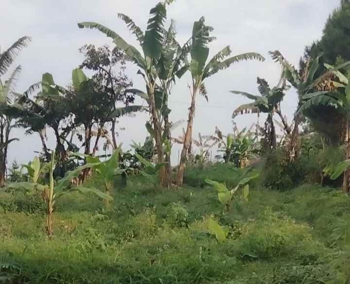 tanah view bagus pinggir jl di palutungan kuningan