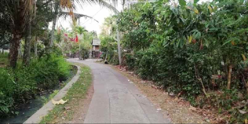 tanah view sawah di siulan denpasar timur