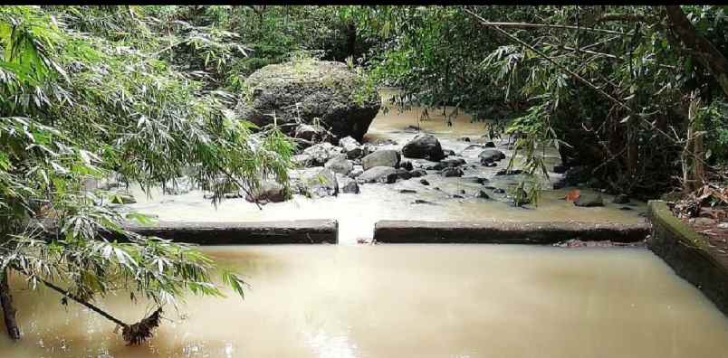tanah view sawah di siulan denpasar timur