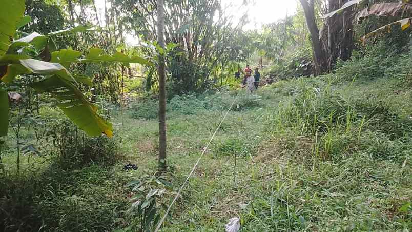 tanah zona kuning untuk perumahan subsidi