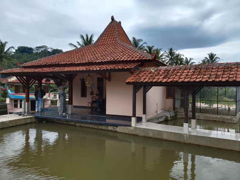 vila kolam ikan dekat sungai view bagus di subang