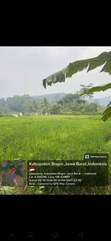 bu cepat tanah sawah produktif