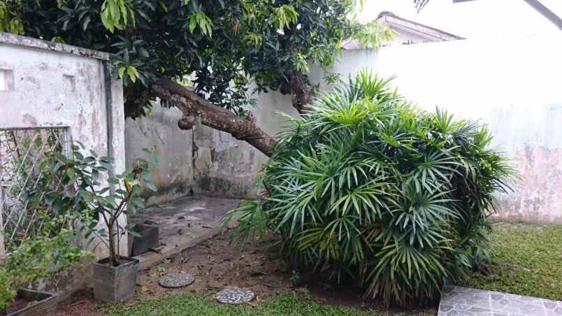 dijual cepat rumah sei harapan tiban batam center