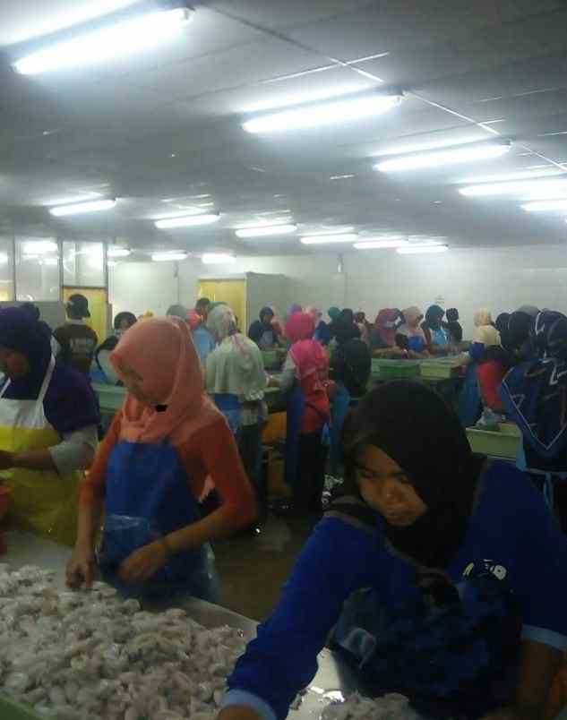 dijual cold storage aktiv batangan pati