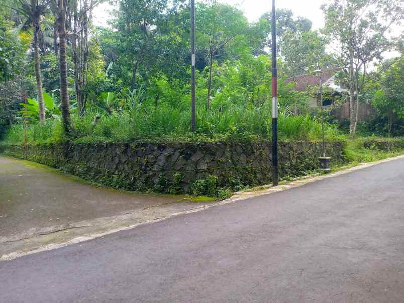 dijual pekarangan tangkil kemalang