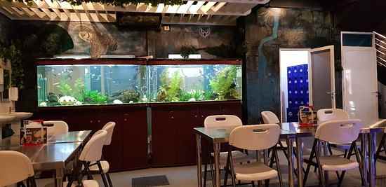 dijual ruko gudang kantor ruko este square