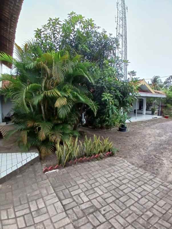 dijual rumah anyar kec anyar kab serang