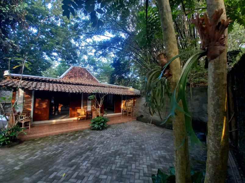 dijual rumah bangunjiwo kasihan bantul