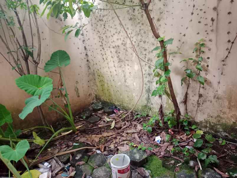 dijual rumah cibinong bogor