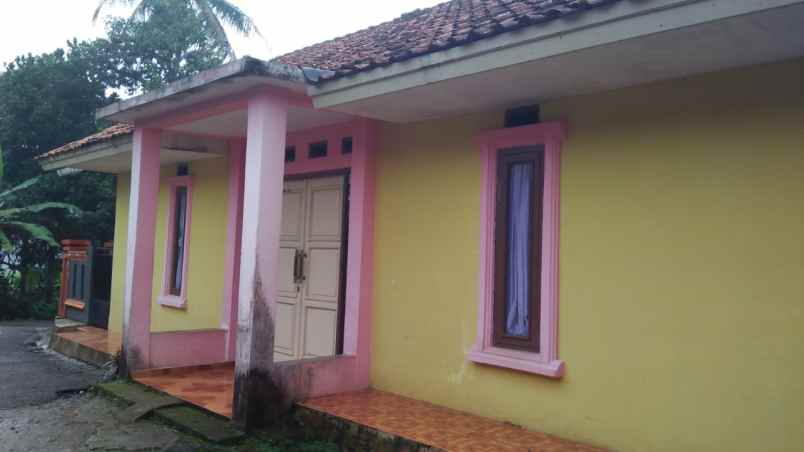 dijual rumah dijual rumah di desa