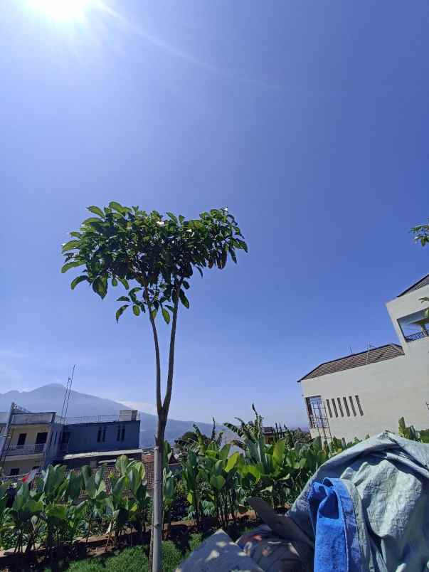 dijual rumah hirai hills