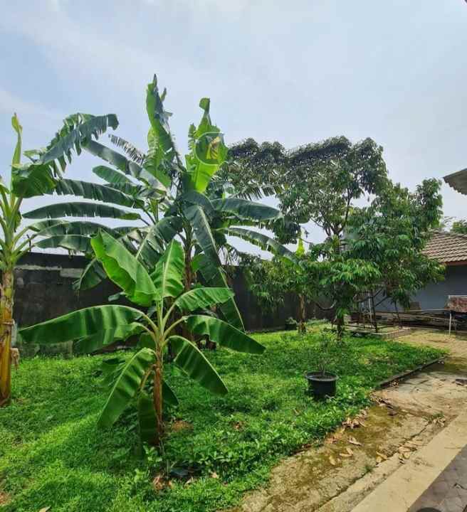 dijual rumah hunian besar di sawah baru ciputat