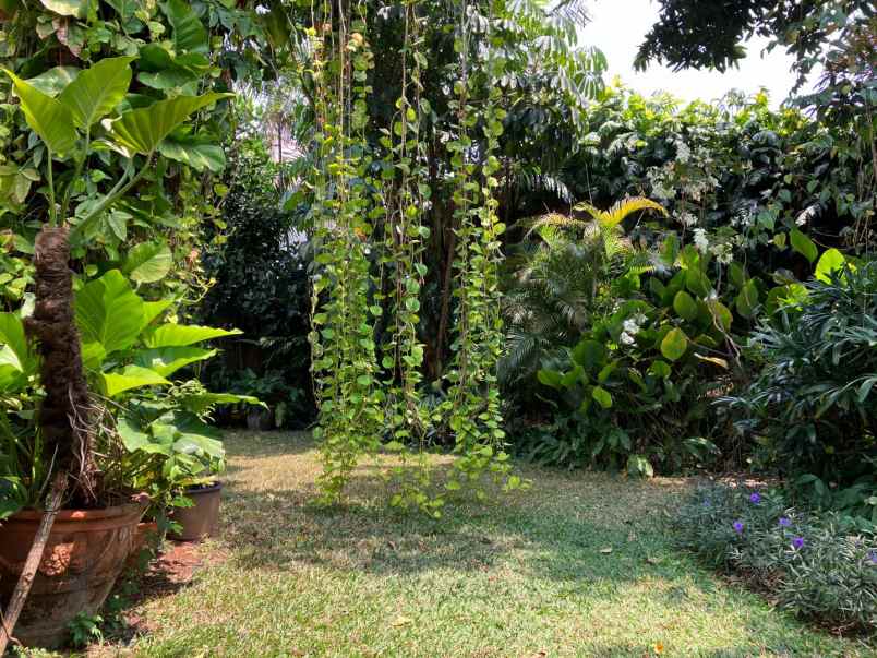 dijual rumah jl bangka pela mampang kec