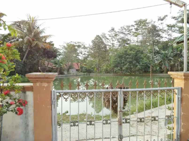 dijual rumah jl inpres no 40 rt 03 rw