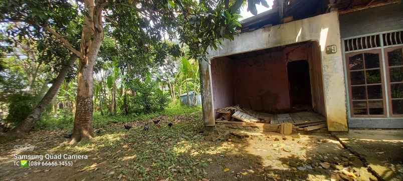 dijual rumah jln sentiong tegal angus