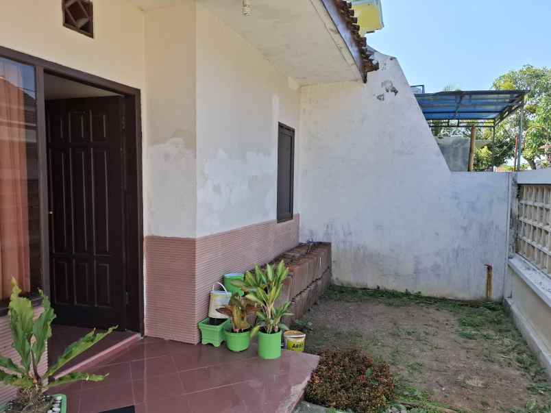 dijual rumah mangli