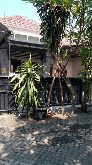 dijual rumah palm spring regency