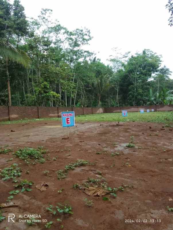 dijual rumah tanah luas di borobudur magelang