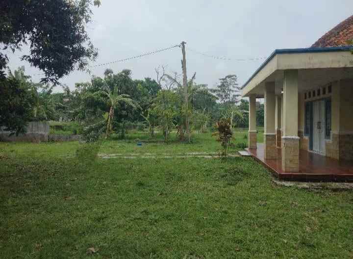 dijual rumah tanah luas pinggir jalan view sawah