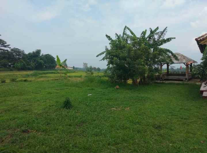 dijual rumah tanah luas pinggir jalan view sawah