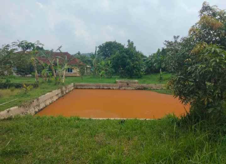 dijual rumah tanah luas pinggir jalan view sawah